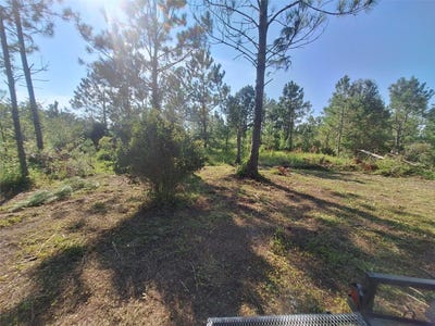 /international/us/0-unassigned-location-re-perry-fl-110108919266/