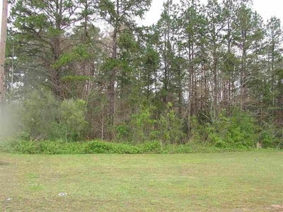 /international/us/10785-hwy-57-lot-1-counce-tn-110054421774/