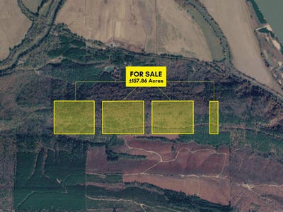 /international/us/palisades-bigelow-ny-110102215033/