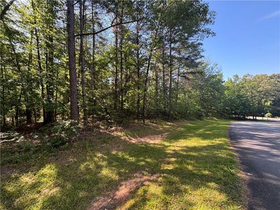 /international/us/princess-tree-way-lot-46-sunset-sc-110108234559/
