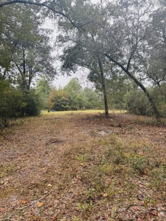 /international/us/fisk-road-dorchester-sc-110103240787/