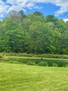 /international/us/kentucky-trail-haines-rd-minford-oh-110105939283/