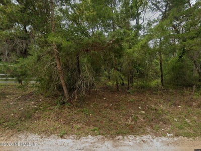 /international/us/103-riverside-trail-satsuma-fl-110106984933/