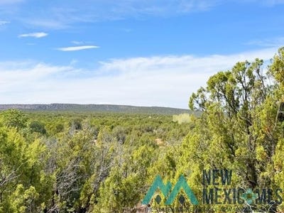 /international/us/40-acres-of-cr-b-29-ribera-nm-110108175711/