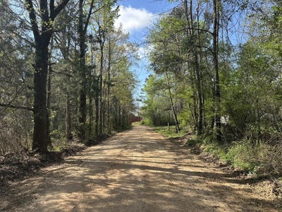 /international/us/parcel-j-lett-road-al-110106982906/