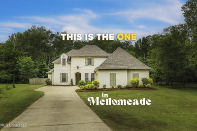 /international/us/413-miles-cove-brandon-ms-110107345533/