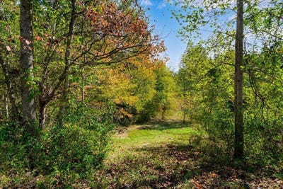 /international/us/ky-15-campton-ky-110103010952/