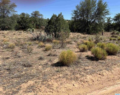 /international/us/1x-chaparral-trail-nm-110101055246/?lang=zh-tw