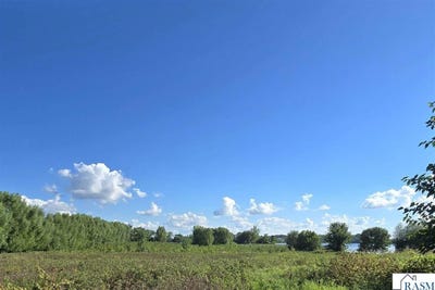 /international/us/county-rd-20-hanska-mn-110101593465/