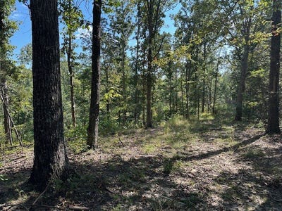 /international/us/01-firetower-road-camden-tn-110103068587/