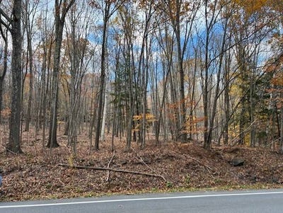 /international/us/0-route-296-windham-ny-110096646948/?lang=zh-cn