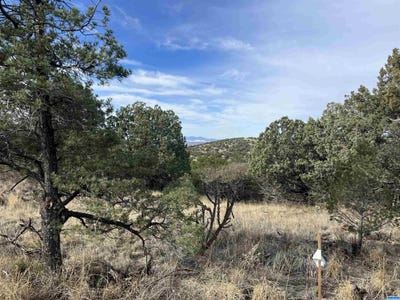 /international/us/nizhoni-silver-city-nm-110091521855/?lang=zh-tw