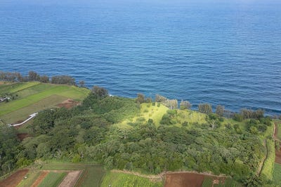 /international/us/28-110-kulaimano-homestead-road-pepeekeo-hi-110102468636/