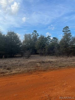 /international/us/deer-loop-lot-49-camden-al-110081757230/