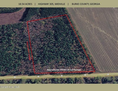 /international/us/18-5-acres-georgia-305-highway-midville-ga-110108129467/