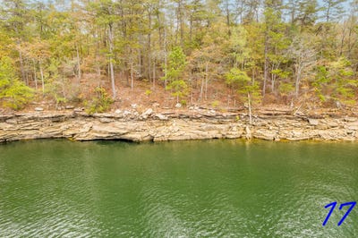 /international/us/lot-17-ryan-s-view-crane-hill-al-110096833745/