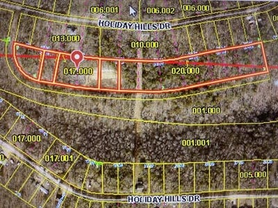 /international/us/4-25-acres-holiday-hills-cape-fair-mo-110097763847/