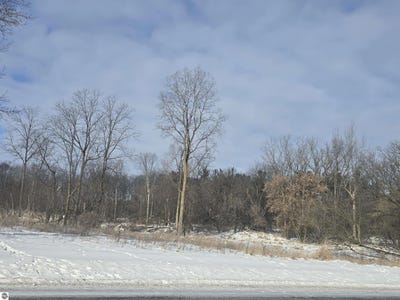 /international/us/s-pine-river-road-ithaca-mi-110105283412/