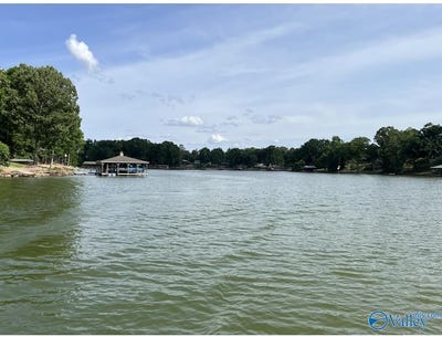/international/us/lot-2-frances-circle-leesburg-al-110089406946/?lang=zh-tw