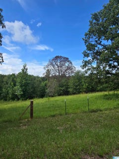 /international/us/county-road-73-lot-1-montevallo-al-110120513907/