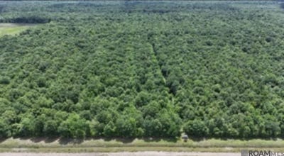 /international/us/greenwood-plantation-rd-thibodaux-la-110108225860/