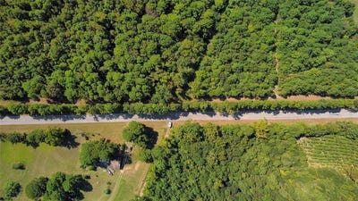 /international/us/2513-county-road-linden-tx-110095154499/