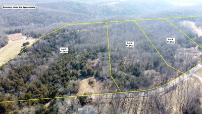 /international/us/0-e-cedar-tree-ln-tract-4-hartsburg-mo-110105767668/