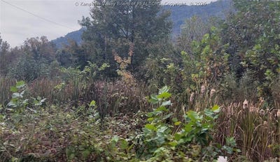/international/us/27557-second-avenue-wv-110120155118/