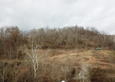 /international/us/township-road-219-n-chesapeake-oh-110094252740/