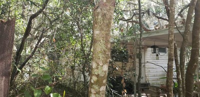 /international/us/24971-ne-135th-street-salt-springs-fl-110095720069/?lang=es