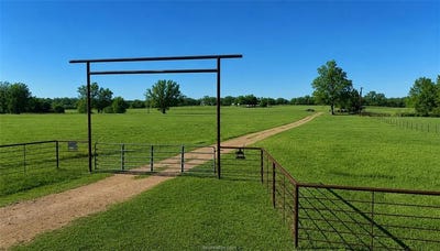 /international/us/13541-e-us-hwy-79-29-acres-gause-tx-110104940991/