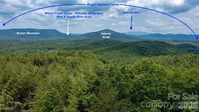 /international/us/box-turtle-run-lenoir-nc-110108178606/