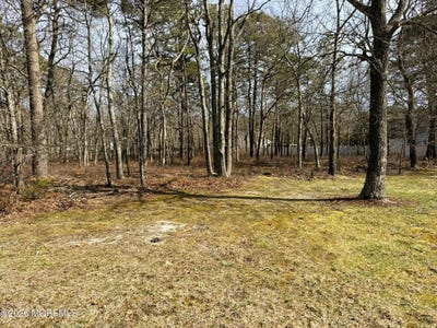 /international/us/20-pinewood-drive-little-egg-harbor-nj-110108539853/