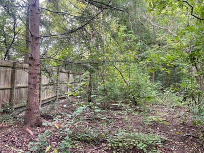 /international/us/1351-n-sheridan-road-lake-forest-il-110103118356/