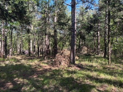 /international/us/hobby-coop-road-thaxton-ms-110107304408/