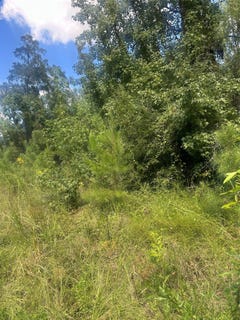 /international/us/dale-lot-15-jonesboro-la-110094880609/