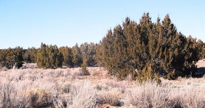 /international/us/tbd-cr-7411-st-johns-az-110099554434/
