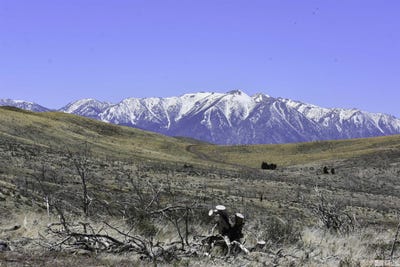 /international/us/parcels-at-pine-nut-creek-area-gardnerville-nv-110074507929/?lang=zh-tw