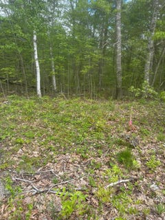 /international/us/unionville-road-lot-7-steuben-me-110108468392/
