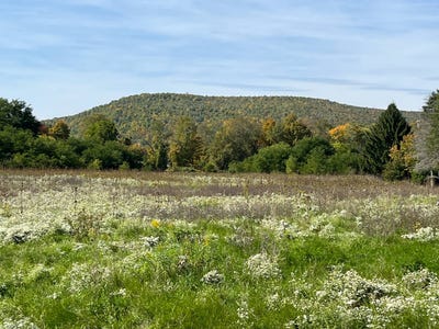 /international/us/wp01-chambers-rd-big-flats-ny-110081051080/