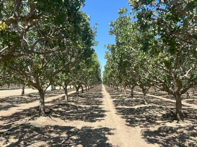 /international/us/28000-w-jayne-ave-coalinga-ca-110092079009/