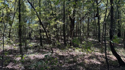 /international/us/75-county-road-2115-bagwell-tx-110103108980/