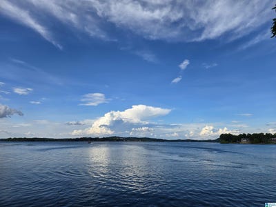 /international/us/wood-river-lane-lot-2-talladega-al-110108268762/