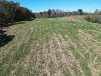 /international/us/000-field-hollow-road-spencer-wv-110102978962/
