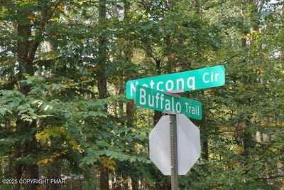 /international/us/buffalo-trl-8-pocono-lake-pa-110101957699/