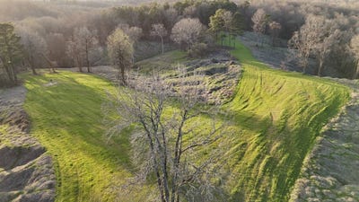 /international/us/675-acres-hwy-35-tallahatchie-co-holcomb-ms-110098295999/