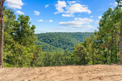 /international/us/12538-country-ridge-lane-lot-14-omaha-ar-110120628512/