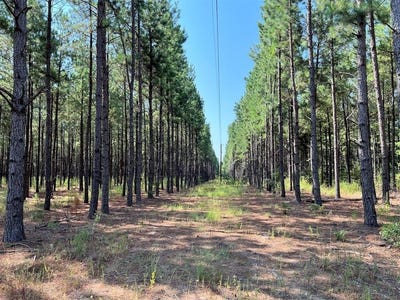 /international/us/000-county-road-2138-troup-tx-110094524948/?lang=zh-tw