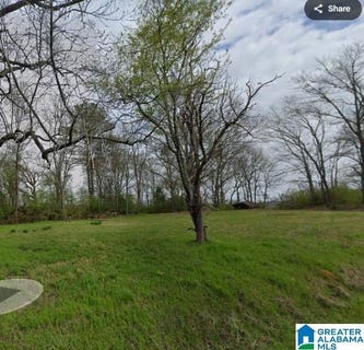 /international/us/higginbotham-road-lot-30-pinson-al-110108770061/