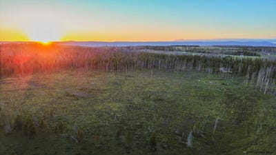 /international/us/60-wilderness-dr-laramie-wy-110108750395/
